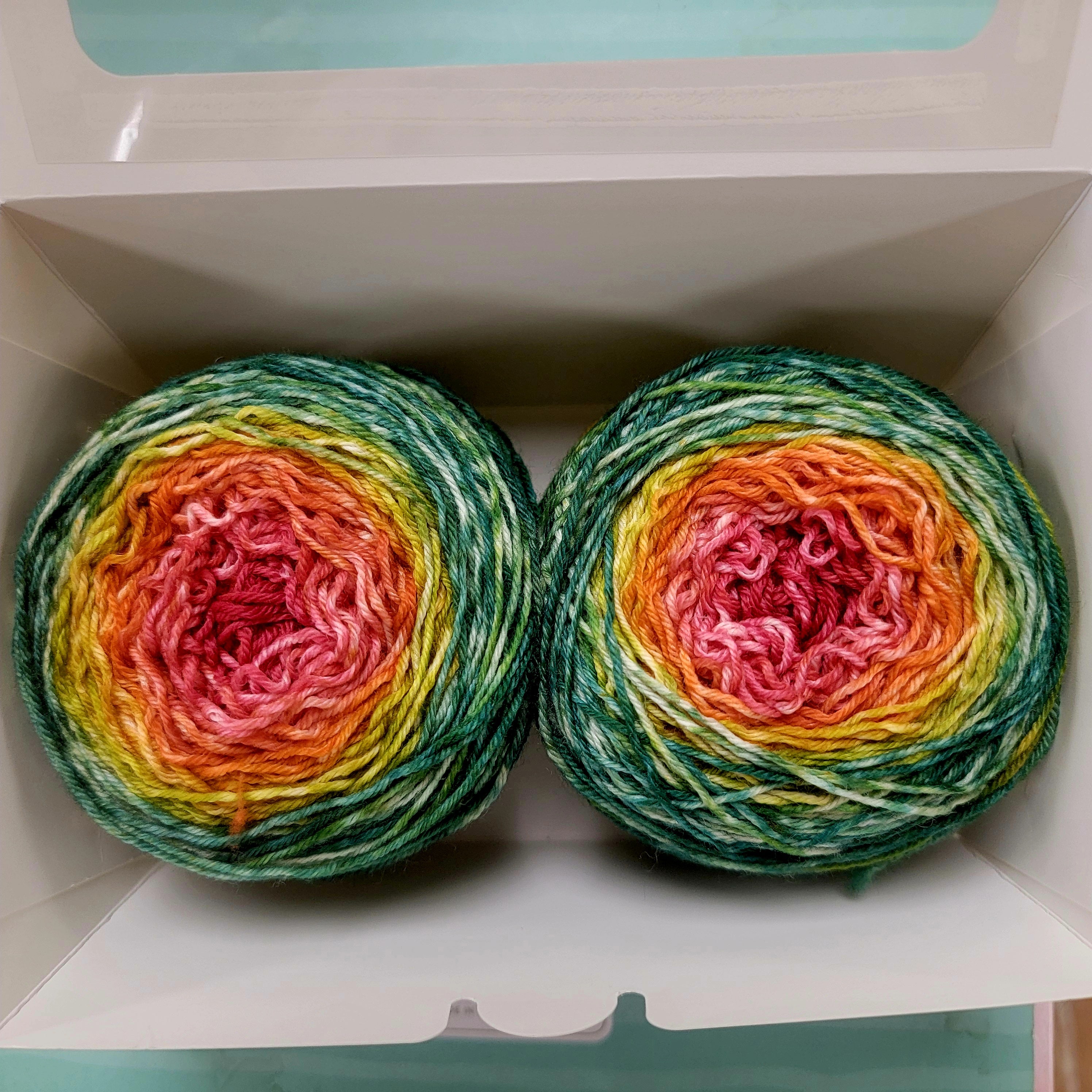 Fox Sock Gradient Cakes